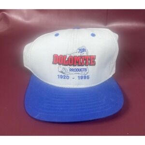 New Era The Dolomite Group 75th Anniversary Men's Blue/Gray Snapback Hat Cap New